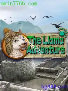 TheLlamaAdventure